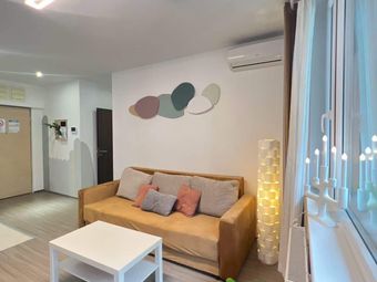 出租8区CORVIN 步行街上一室一厅公寓，6月份起租！