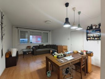 出售10区大公园附近两室一天舒适高层公寓